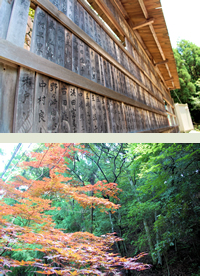 境内の景色と四季折々の瀧法寺