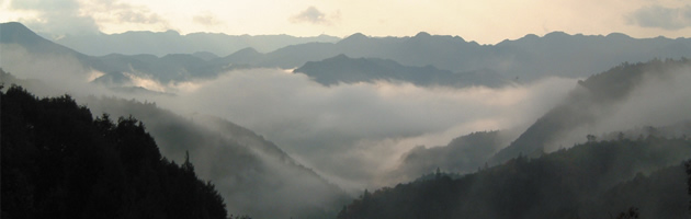 高野山の風景